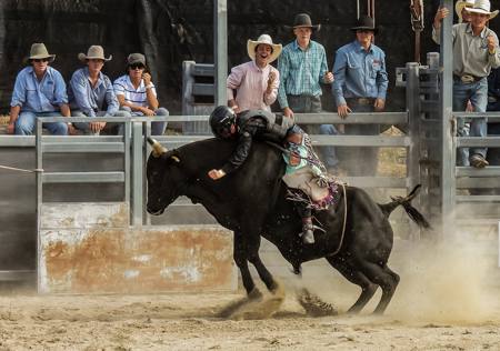 Bull Ride