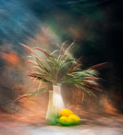 Still Life In Motion