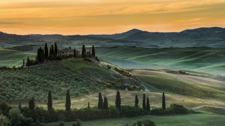 The Belvedere