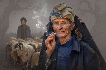 Sheep Trader
