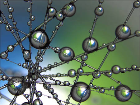 Water Droplets