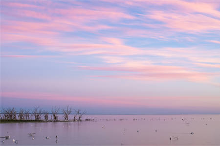 Muted Colours