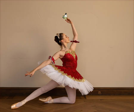 Butterfly And The Ballerina