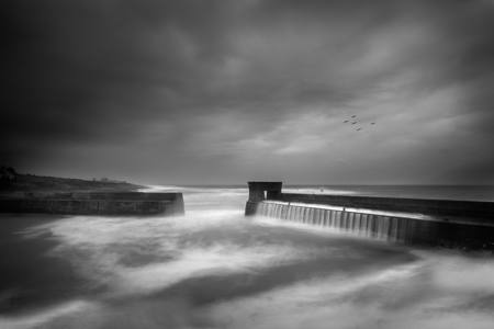Craster