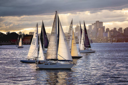 Sea Of Masts