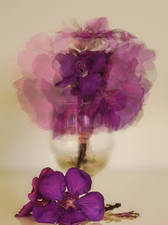 Purple Flowers