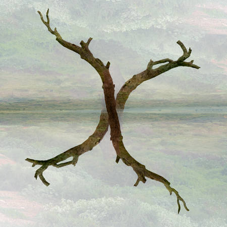 Chromosomal