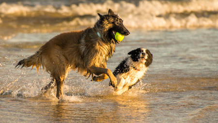In Close Pursuit