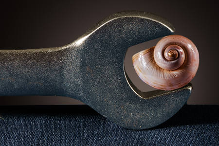 Nautilus