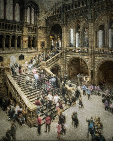 Museum Movement