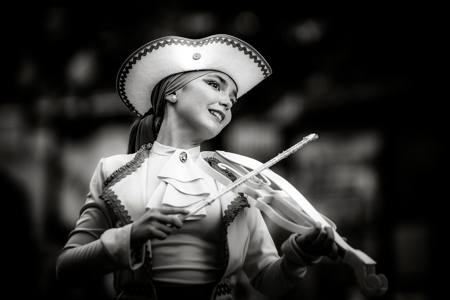 Violin