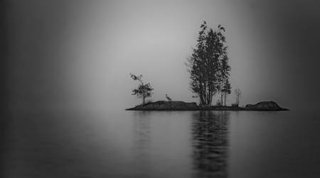 Misty Islet With Gray Heron
