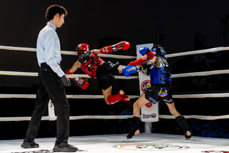 Flying Fighter