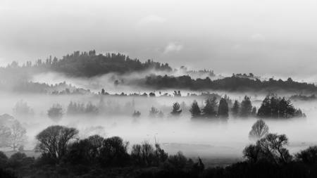 Foggy Layers
