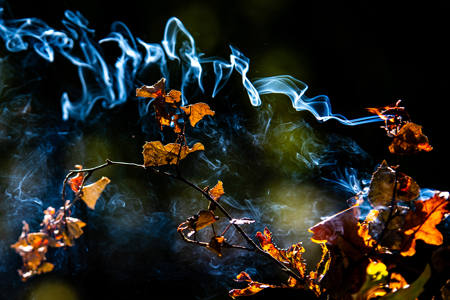 The Shape Of Heat