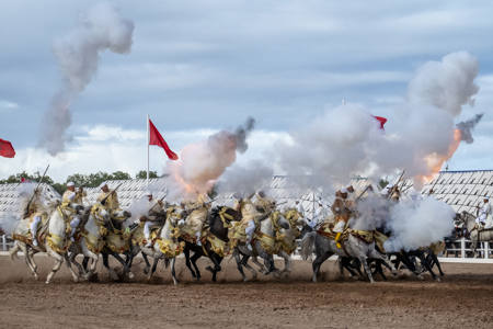 Gallop Sounds11