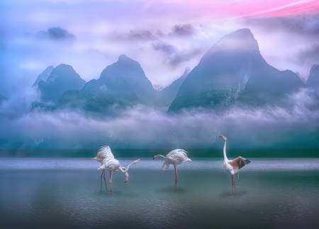 Mountain Lake