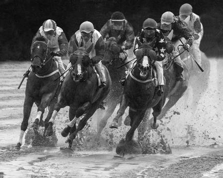 Competitive Spirit 03