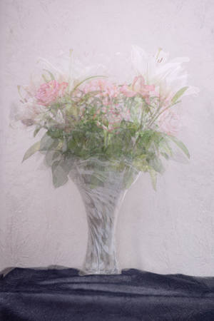 Vase Of Flowers