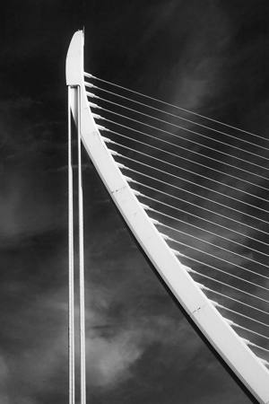 Jant Harp