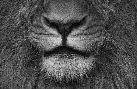 Contours Of Power