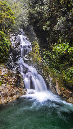 Christine Falls