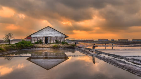 Saltfields Kampot