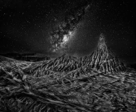 Mungo Stars