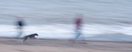 Free On The Beach