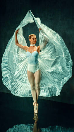 Silken Flight