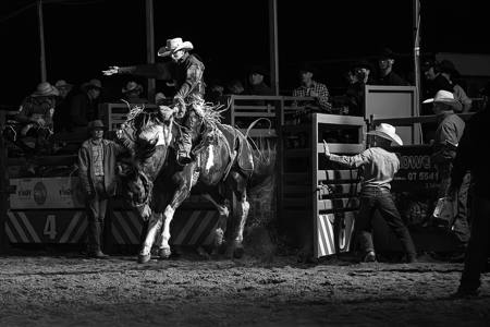 Out Of The Gate