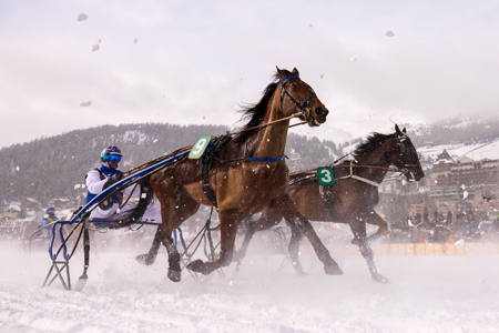 Trotting Race
