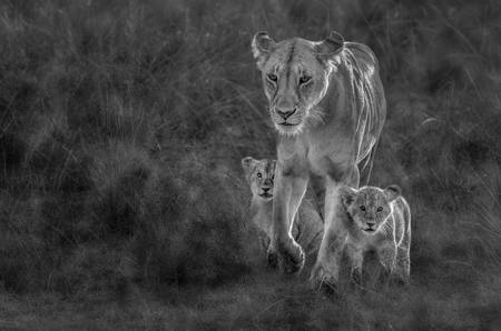 Walking With Mum