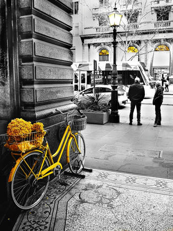 The Yellow Bike