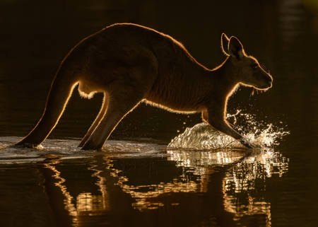 Golden Bound