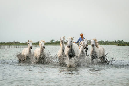 Camargue Girl