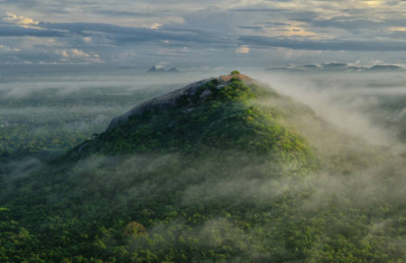 Early Morning From Sigiriya Rock