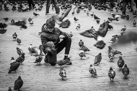 Harbingers Of Peace