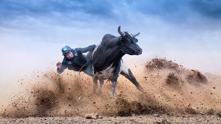 Bull Rider Seven
