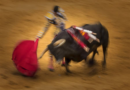 Abullfight