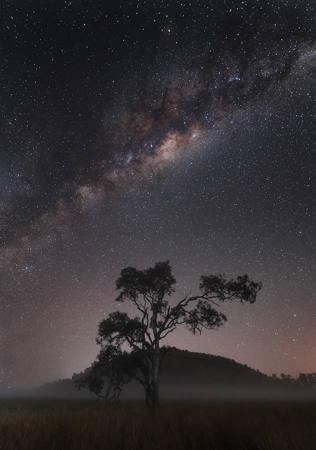 The Milky Way And The Mist