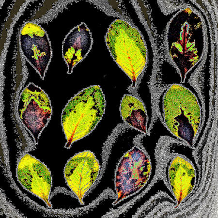 Autumn Leaves