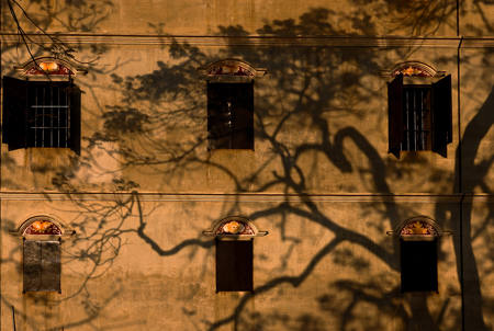 Ancient House And Tree Shadows