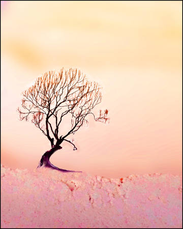 Wanaka In Pastel