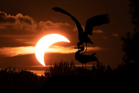 Solar Eclipse