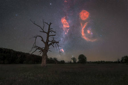 Orion