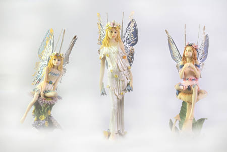 Fairies