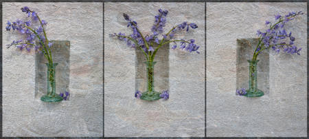 Bluebell Triptych