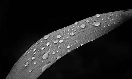 After October Rain