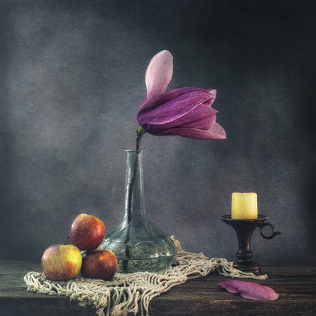 A Show Of Spring